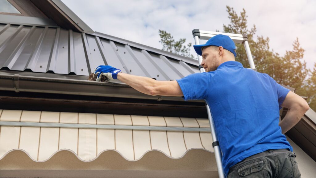 gutter cleaning